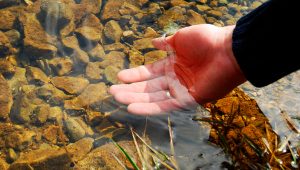 Preservação das nascentes - Mão na água