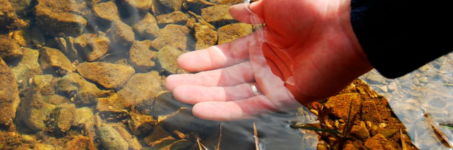 Preservação das nascentes - Mão na água